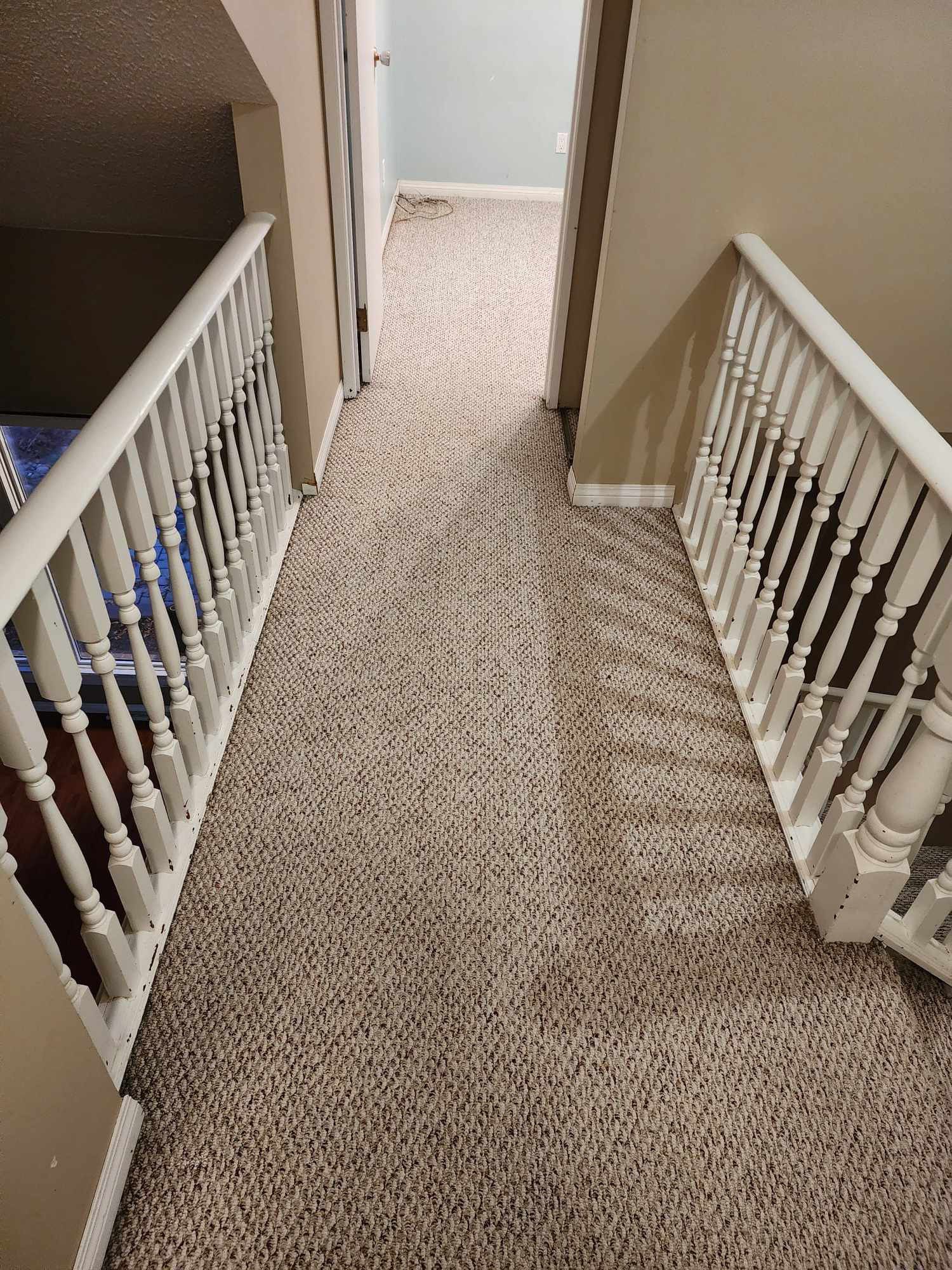 clean carpet
